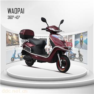  王派电动车风驰